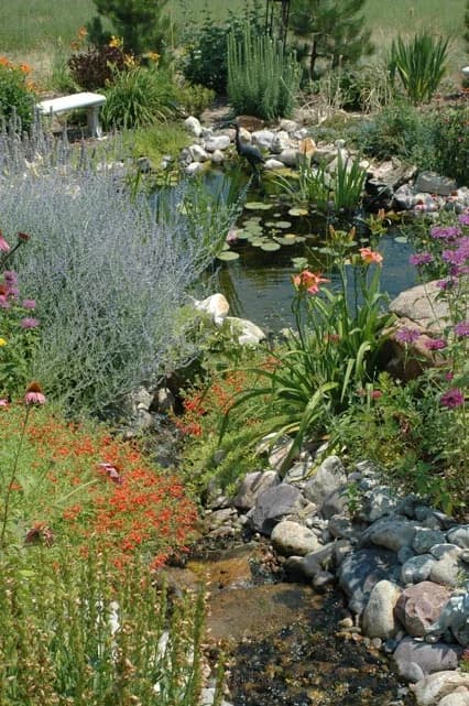 Canyon Landscaping portfolio photo
