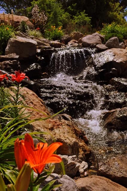 Canyon Landscaping portfolio photo
