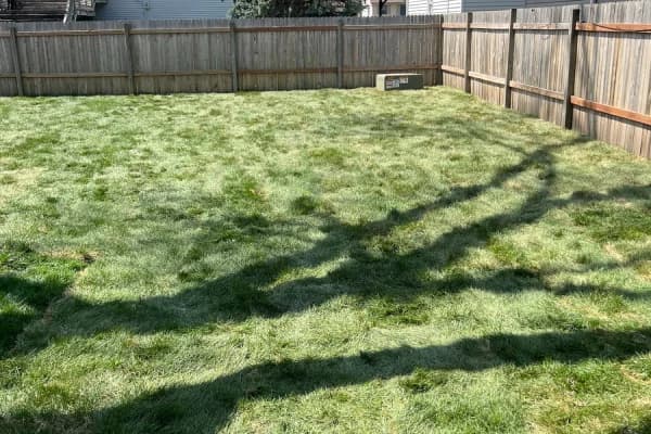 Cook Landscape Gallery Image