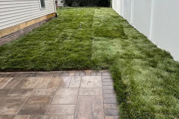 Cook Landscape Gallery Image - Lawn & Turf Solutions