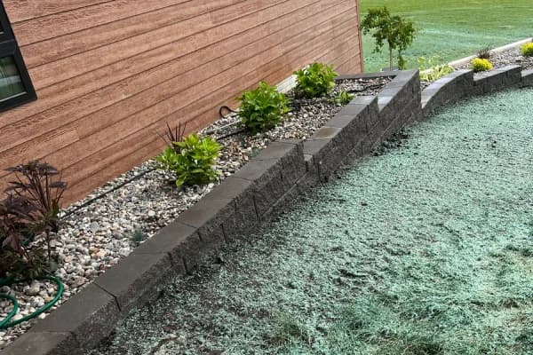 Cook Landscape Gallery Image