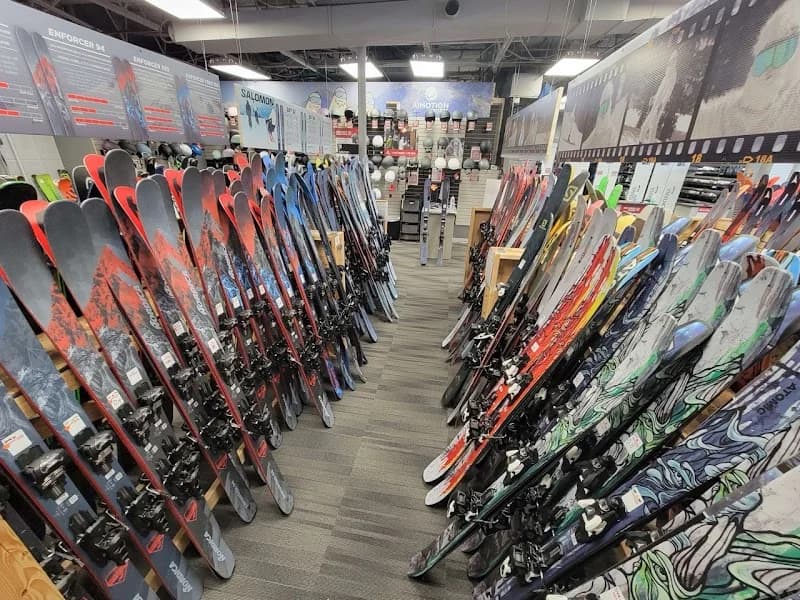 Colorized Painting Inc portfolio photo