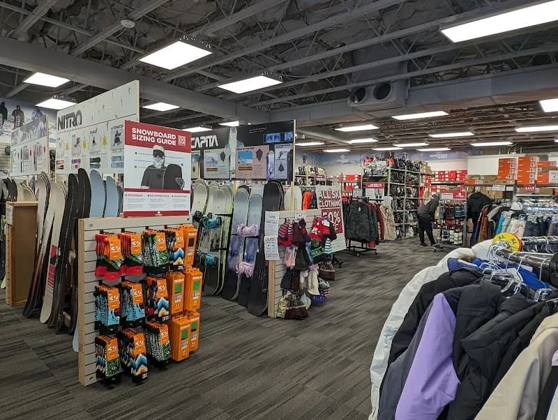 Colorized Painting Inc portfolio photo